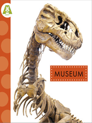 cover image of Museum